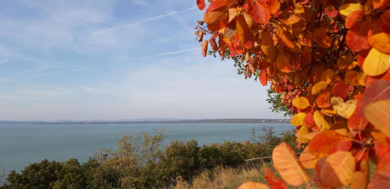 Riviera Wellness Siófok